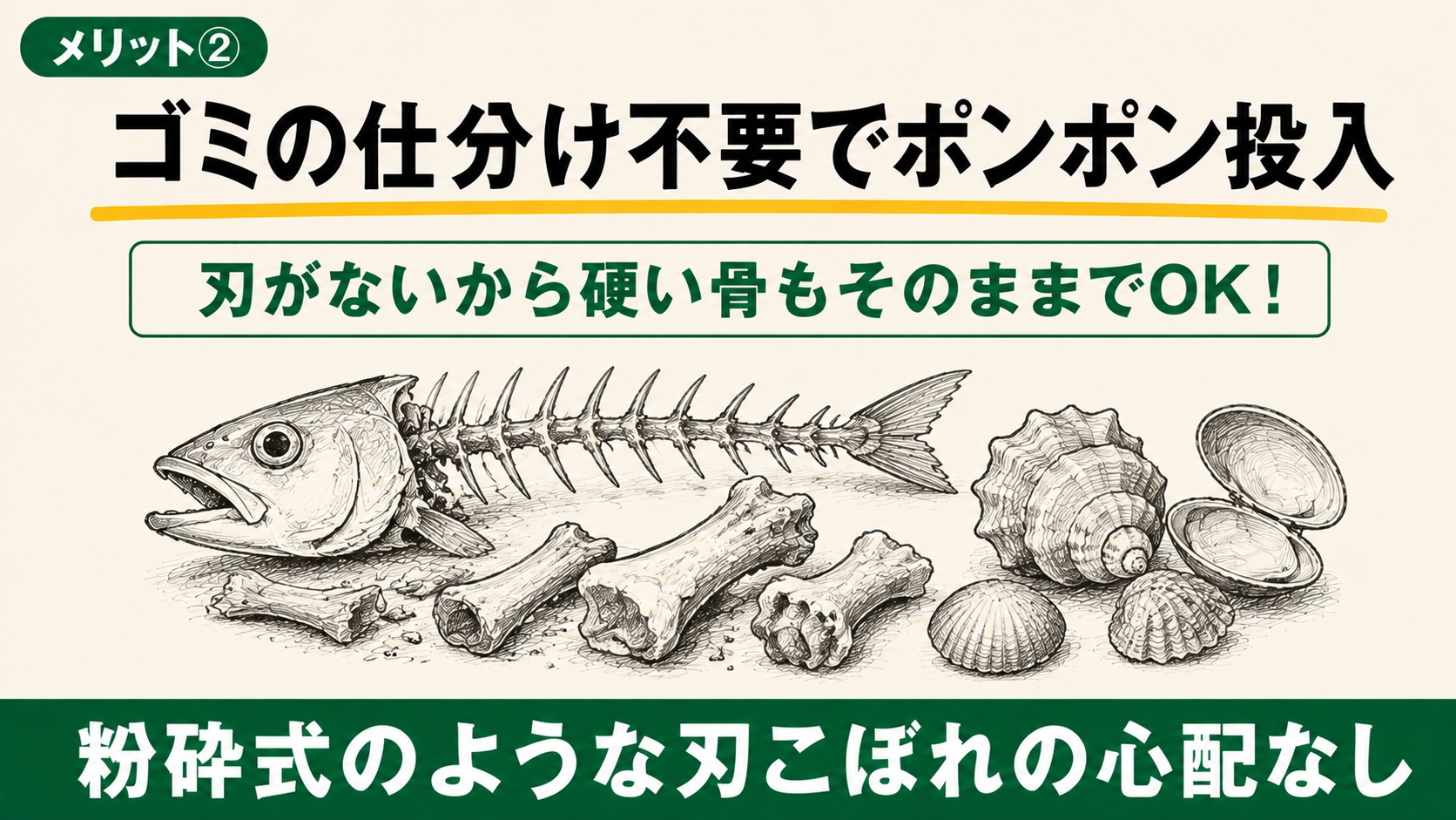硬い骨や貝殻なども一緒に入れたバスケットの画像