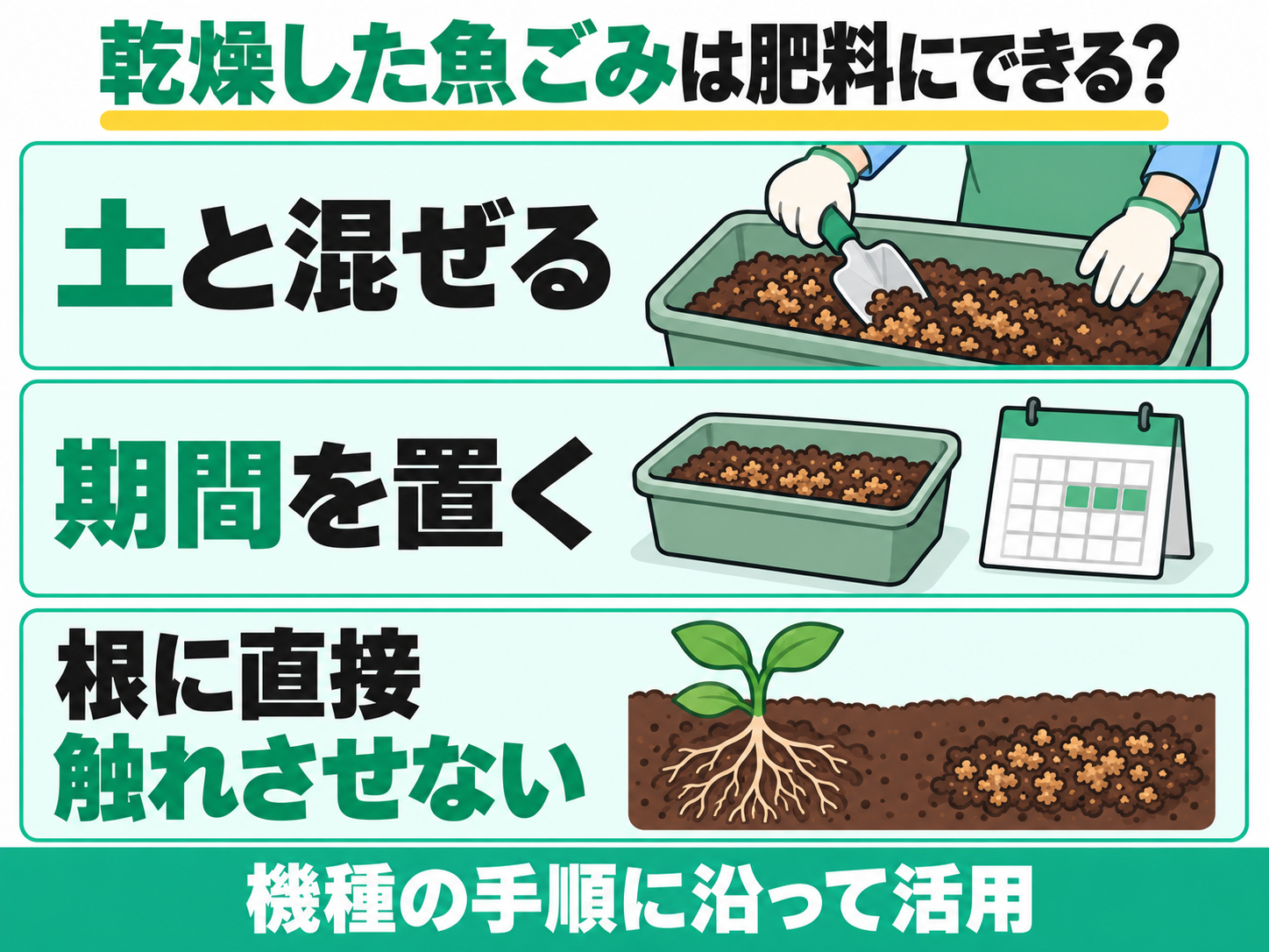 乾燥させた魚の生ごみの肥料利用。完熟堆肥とは異なり、土と混ぜて期間を置き根に直接触れさせない使い方
